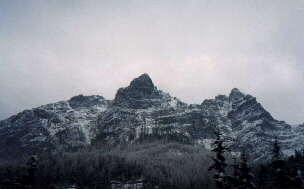 tirol1d.jpg (6807 bytes)